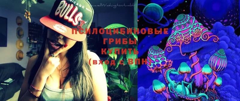 Галлюциногенные грибы Psilocybine cubensis Ялуторовск